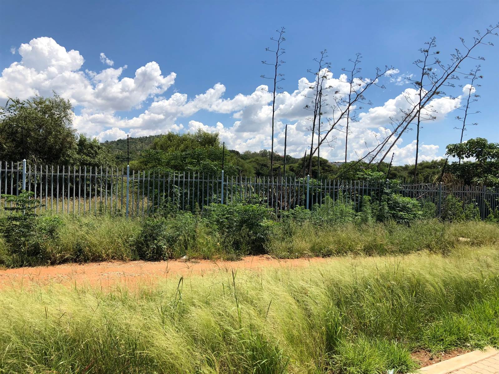 752  m² Commercial space in Waterkloof photo number 3