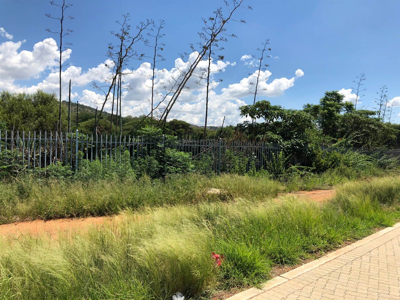 752  m² Commercial space in Waterkloof photo number 4
