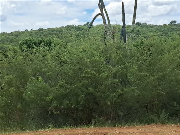 2 395 m² Land 2 395 m² Land