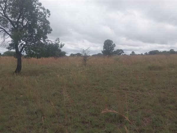 8.5 ha Land available in Bultfontein AH
