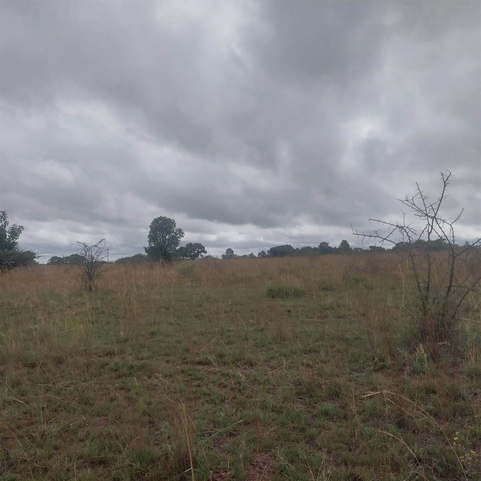 8.5 ha Land available in Bultfontein AH photo number 5