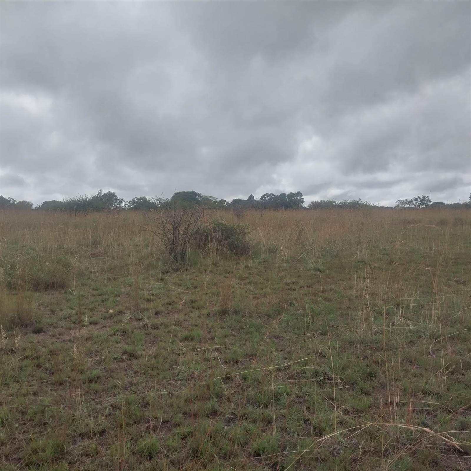 8.5 ha Land available in Bultfontein AH photo number 2