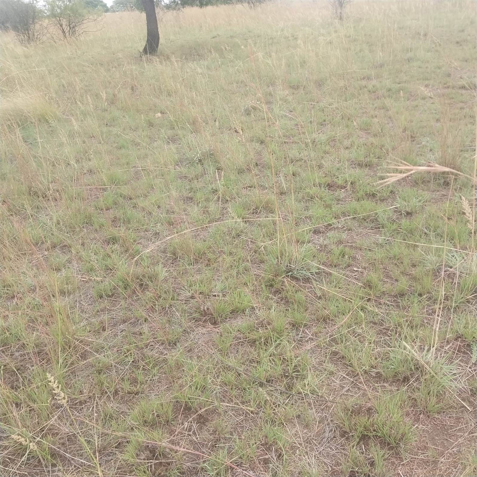 8.5 ha Land available in Bultfontein AH photo number 6