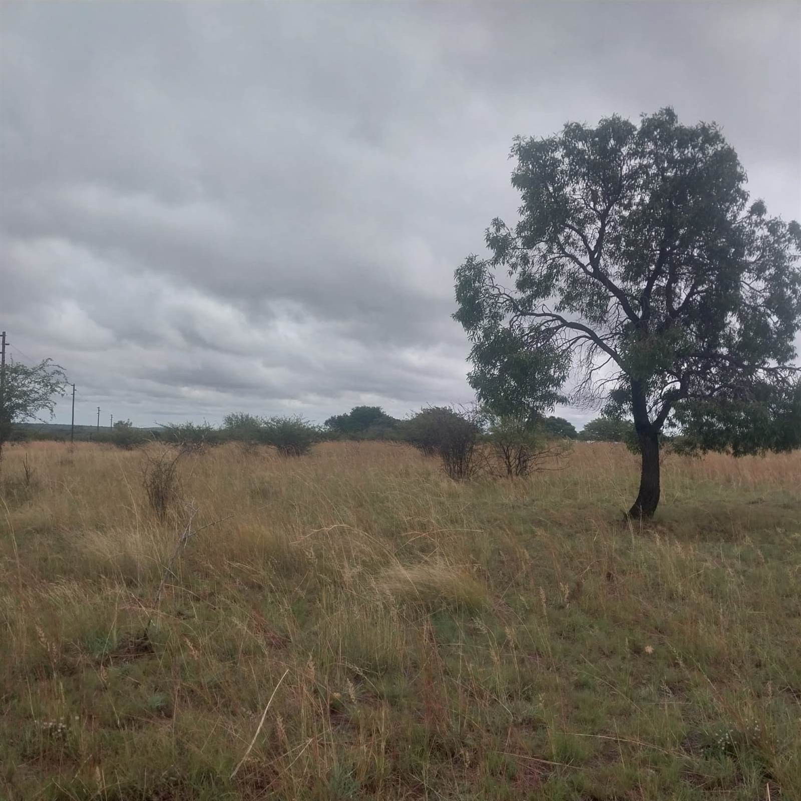 8.5 ha Land available in Bultfontein AH photo number 4