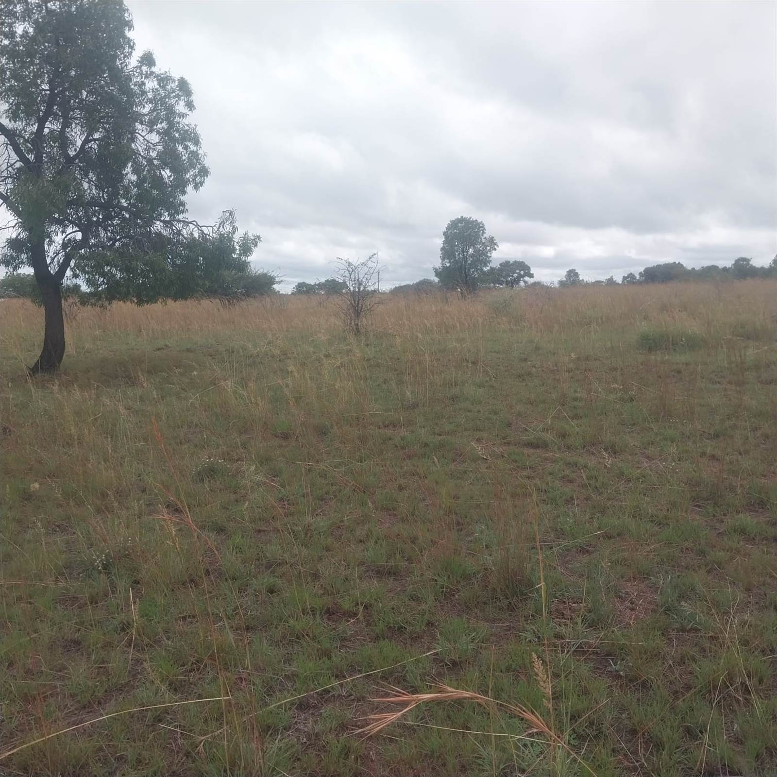 8.5 ha Land available in Bultfontein AH photo number 3