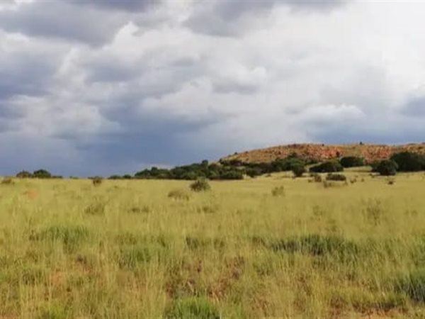 31 ha Land