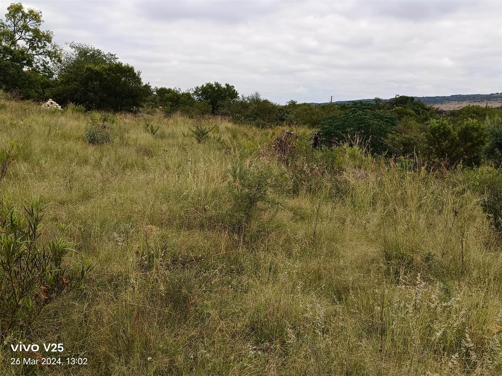 4.2 ha Land available in Tierpoort photo number 7