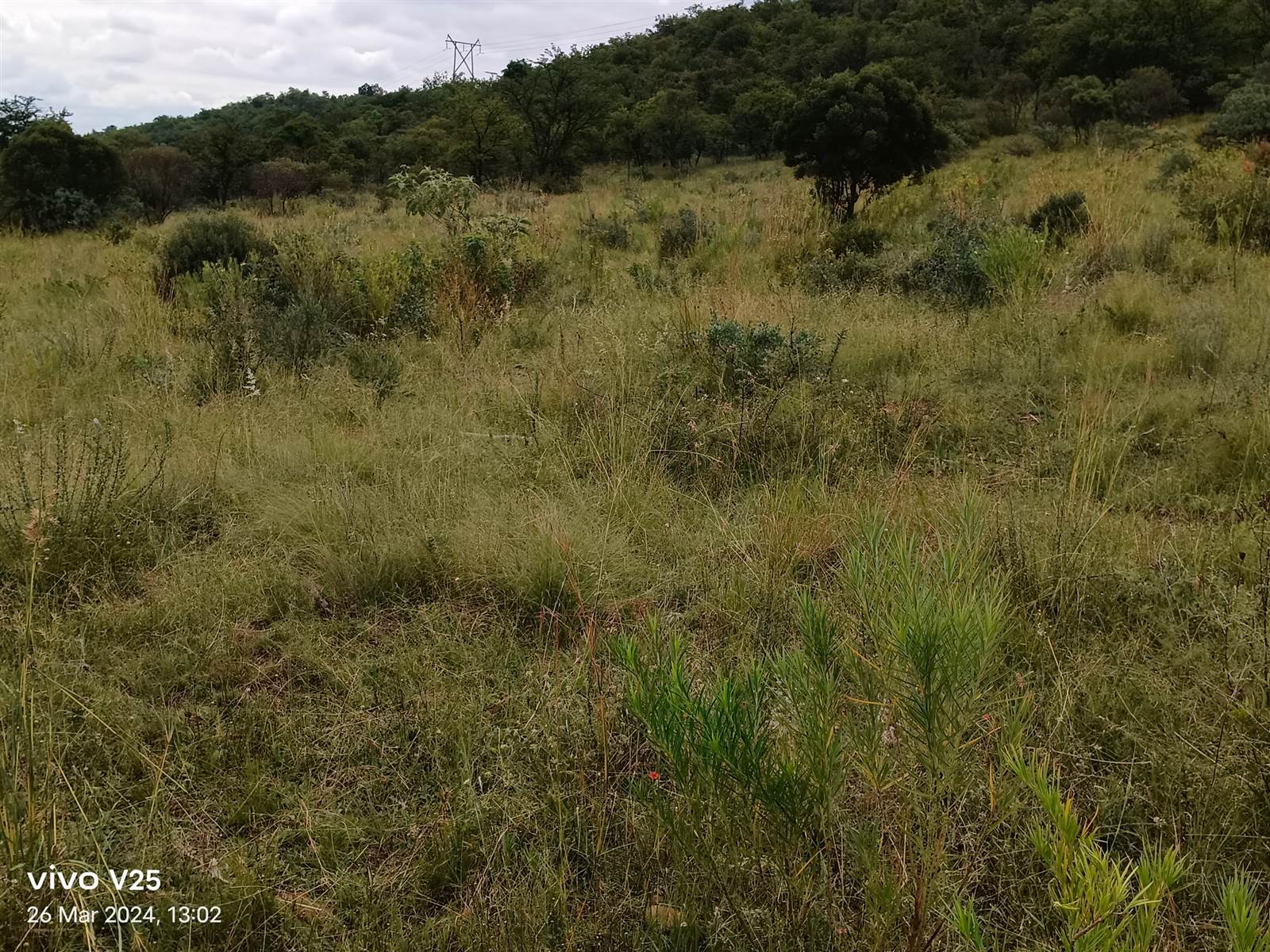 4.2 ha Land available in Tierpoort photo number 8