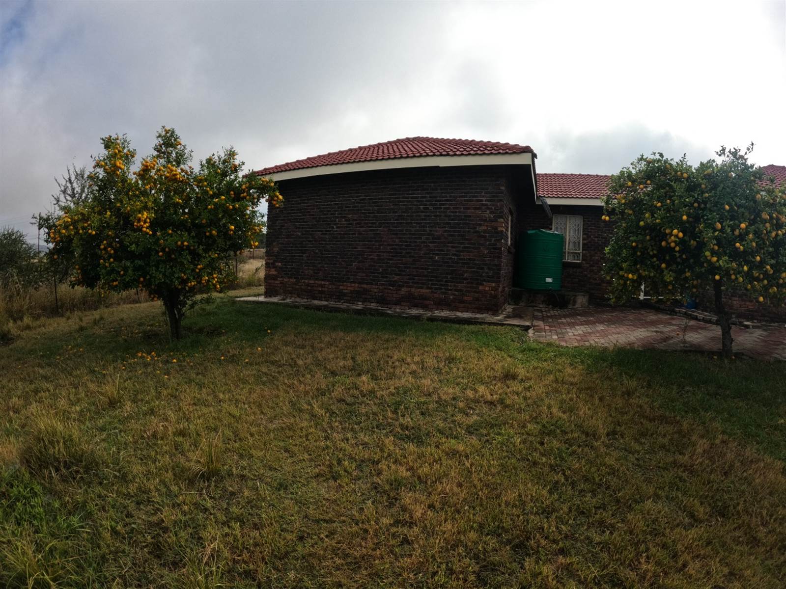 10 m² Farm in Polokwane Central photo number 8
