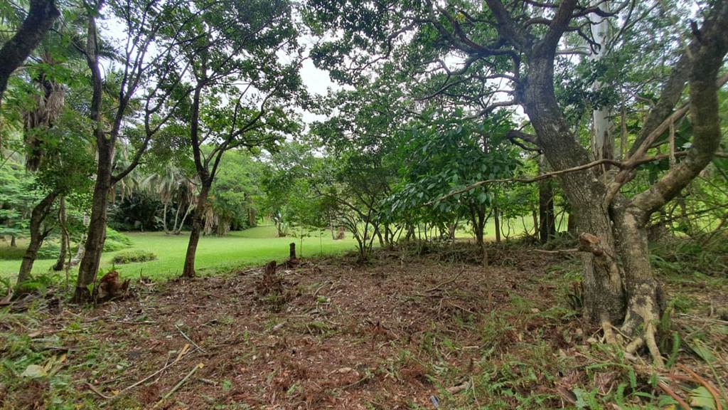 2389 m² Land available in Southbroom photo number 9