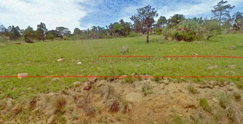 3889 m² Land available in Palm Beach photo number 7