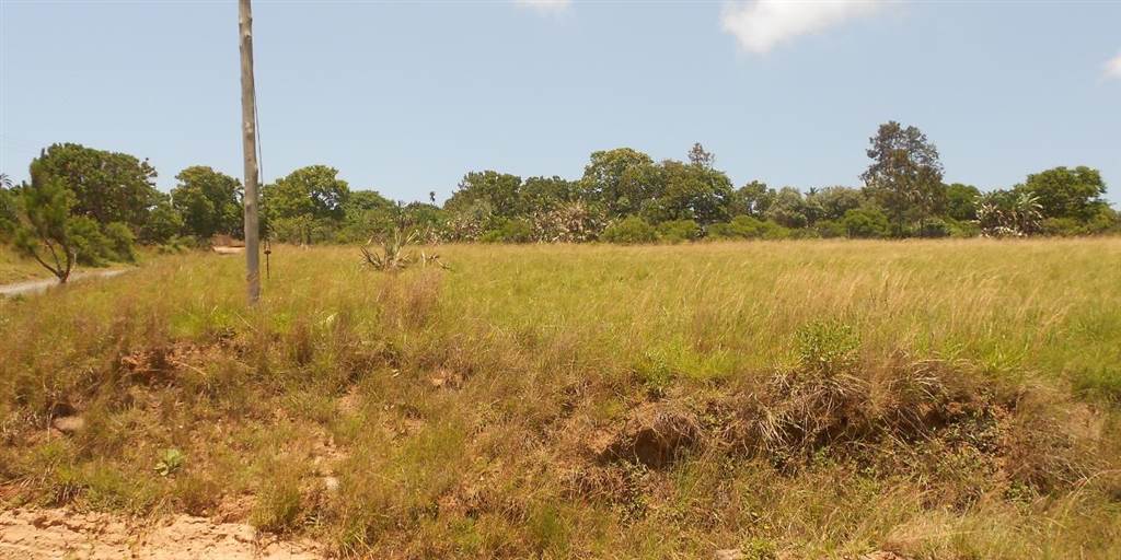 3889 m² Land available in Palm Beach photo number 4
