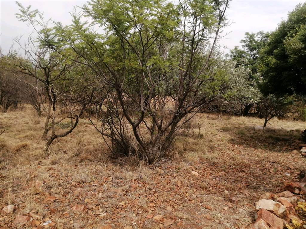 970 m² Land available in Seasons Lifestyle Estate photo number 1