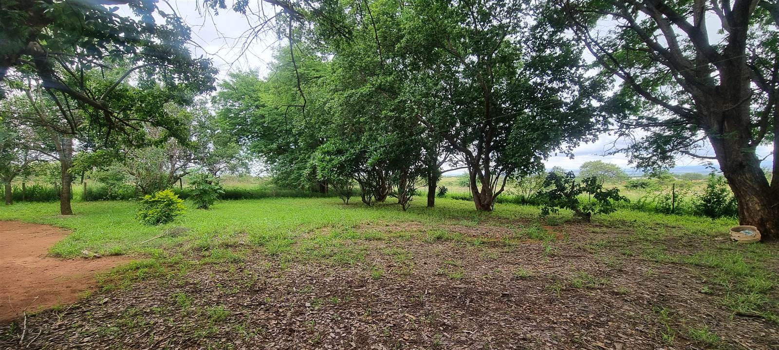 8.6 ha Smallholding in Polokwane Central photo number 23