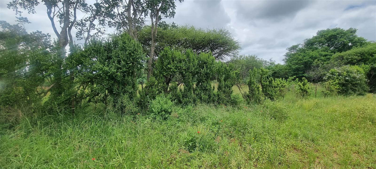 8.6 ha Smallholding in Polokwane Central photo number 5