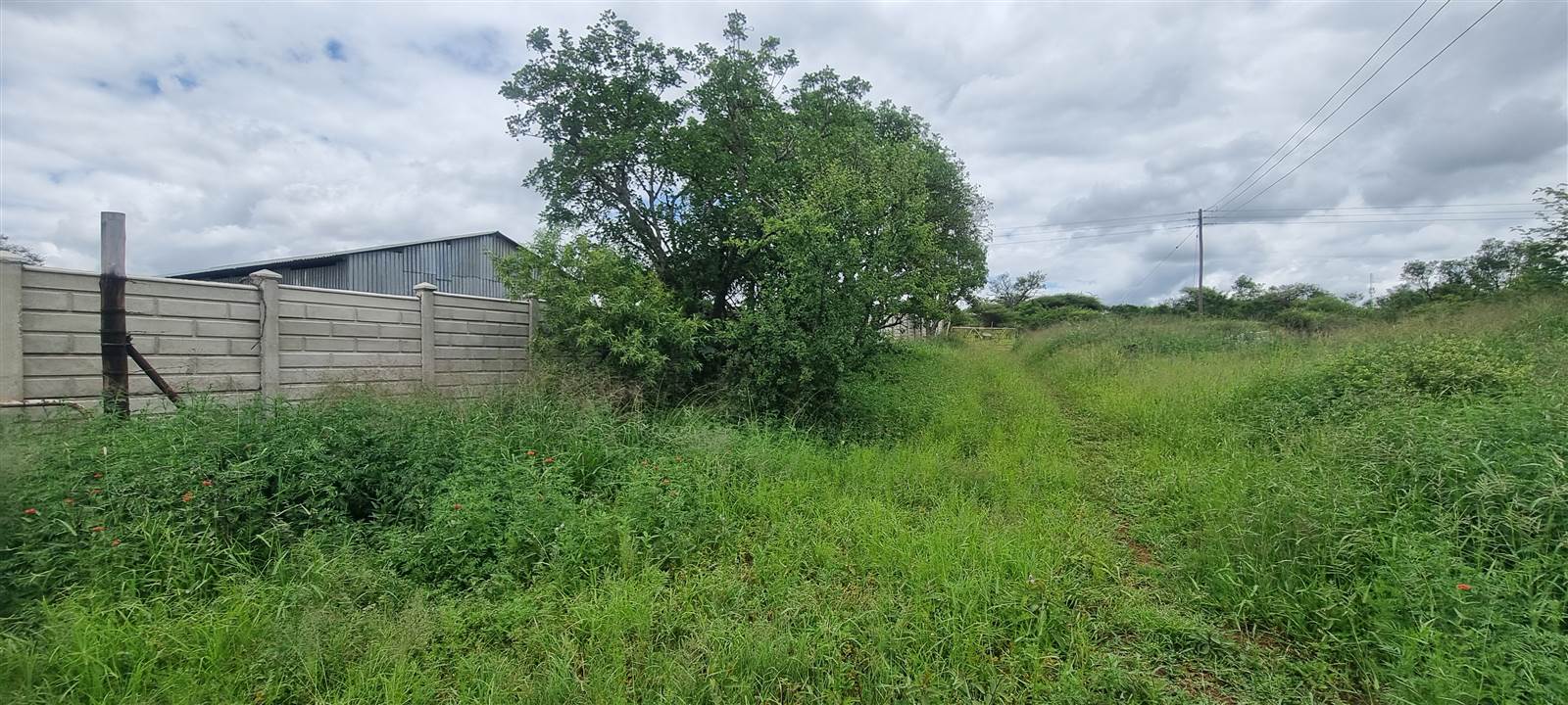 8.6 ha Smallholding in Polokwane Central photo number 18
