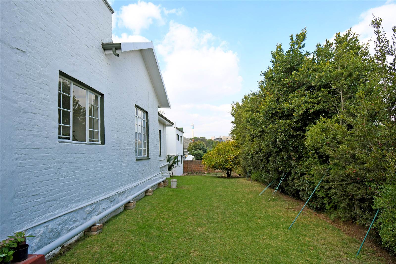 3 Bed House in Parktown photo number 25