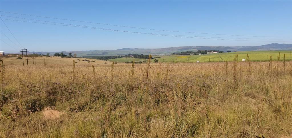 23 ha Land available in Camperdown photo number 4