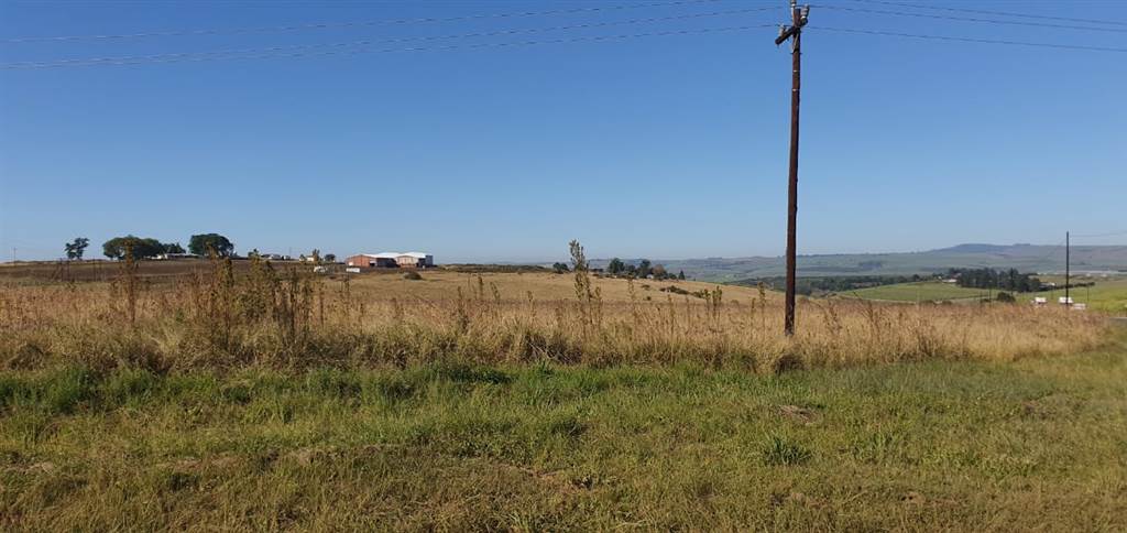23 ha Land available in Camperdown photo number 5
