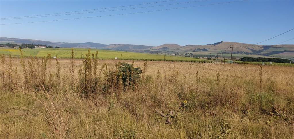 23 ha Land available in Camperdown photo number 6