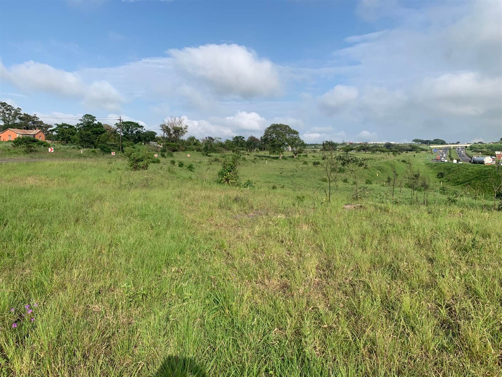 23 ha Land available in Camperdown photo number 8