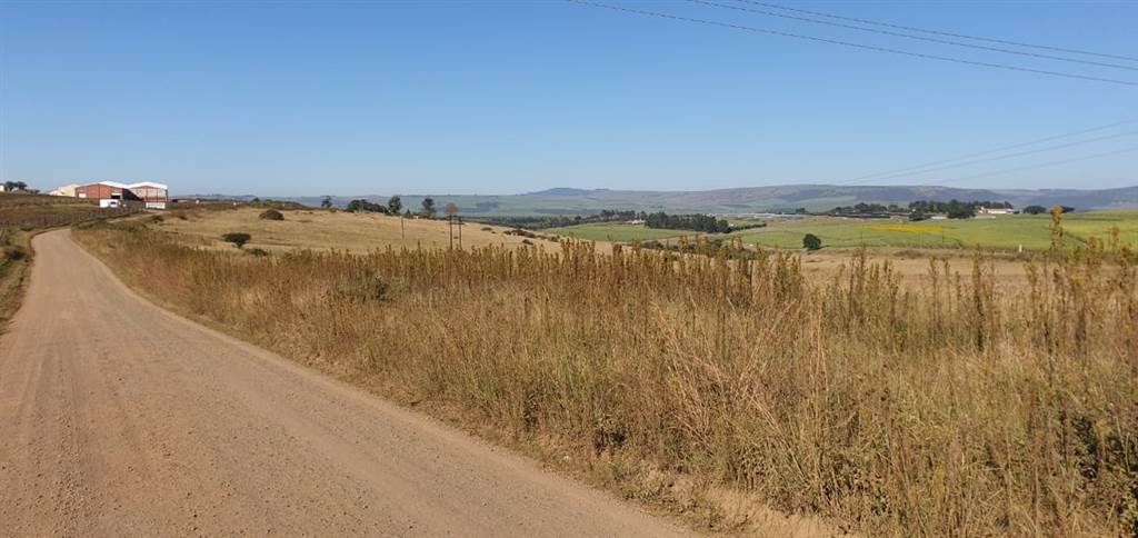 23 ha Land available in Camperdown photo number 3