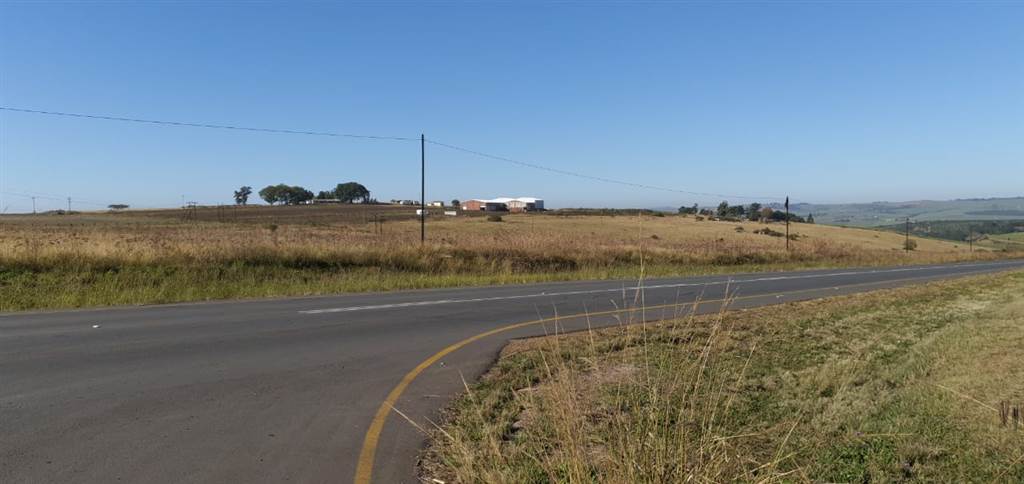 23 ha Land available in Camperdown photo number 7
