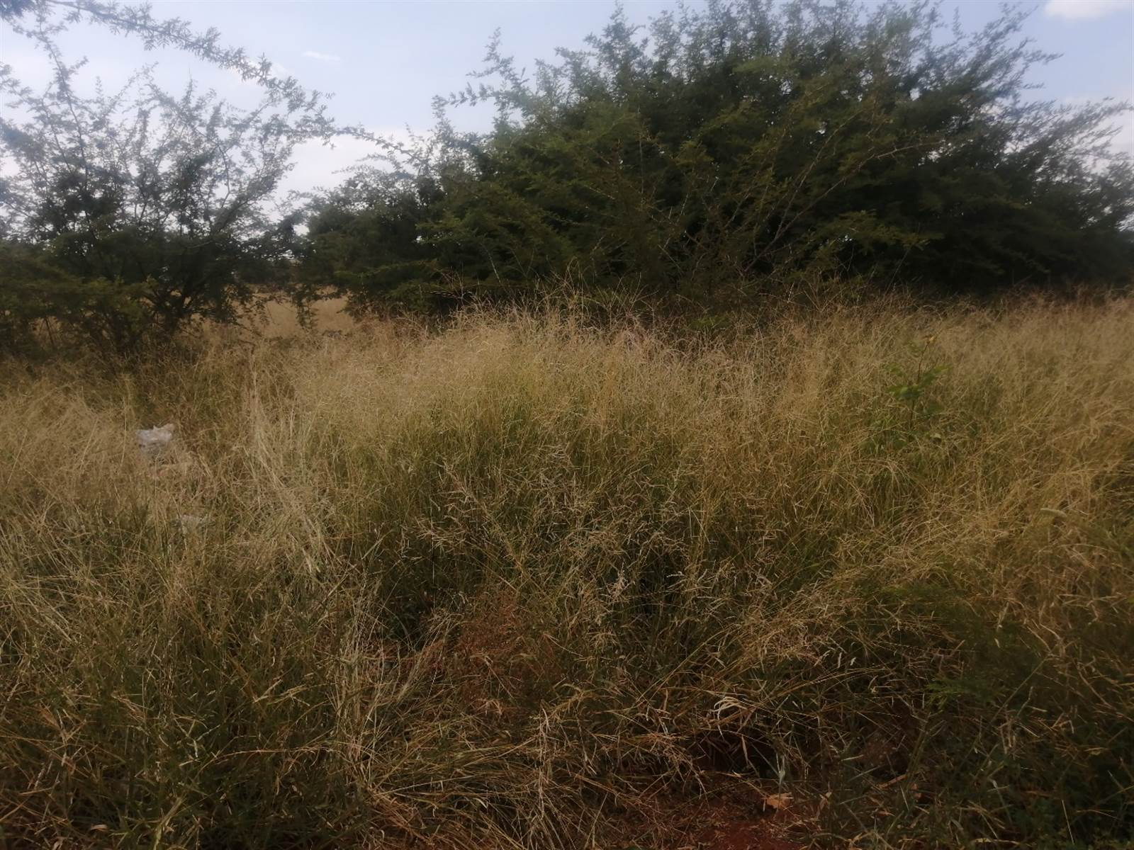 494 m² Land available in Lebowakgomo photo number 3