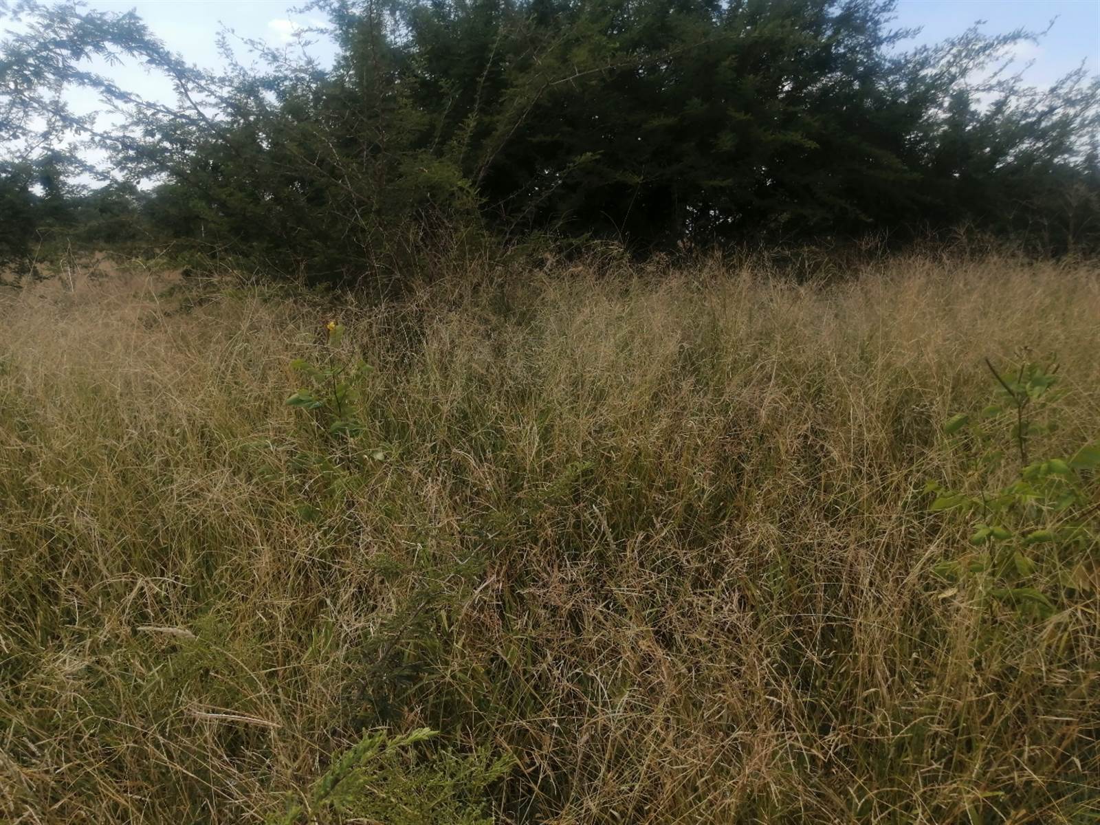 494 m² Land available in Lebowakgomo photo number 1