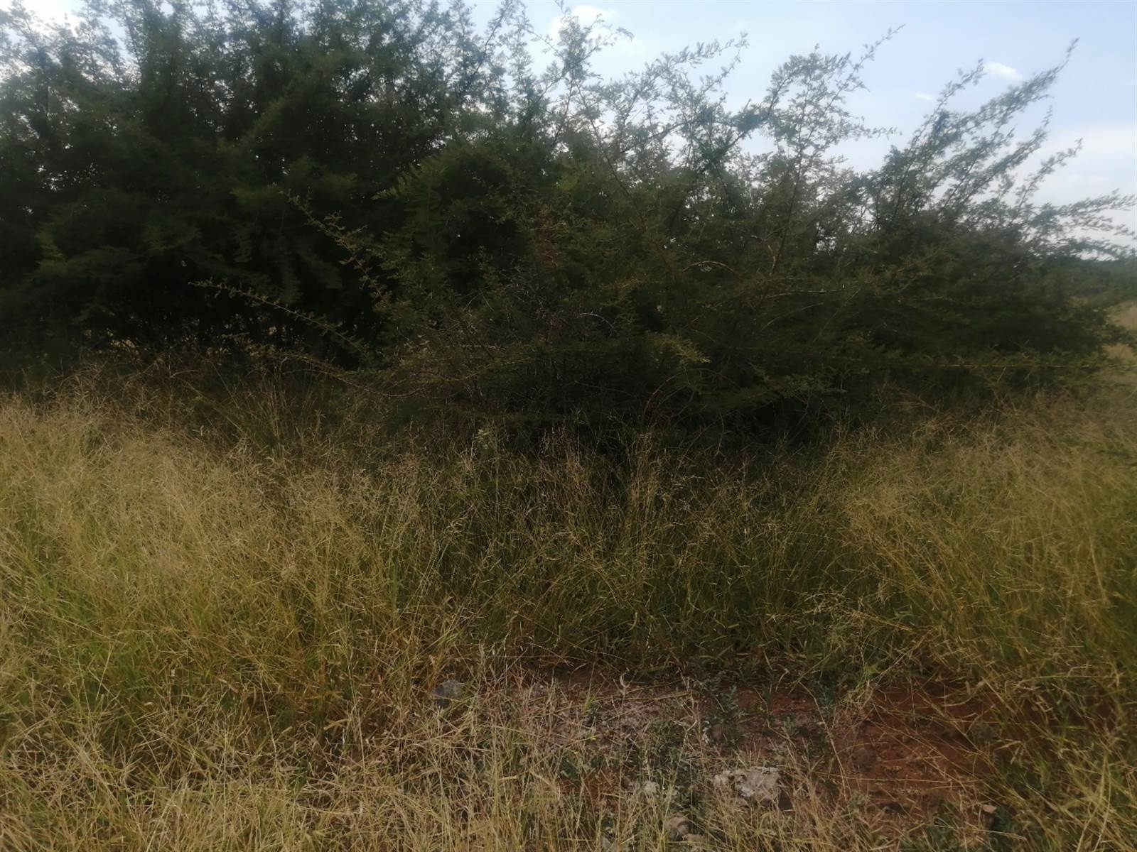 494 m² Land available in Lebowakgomo photo number 4