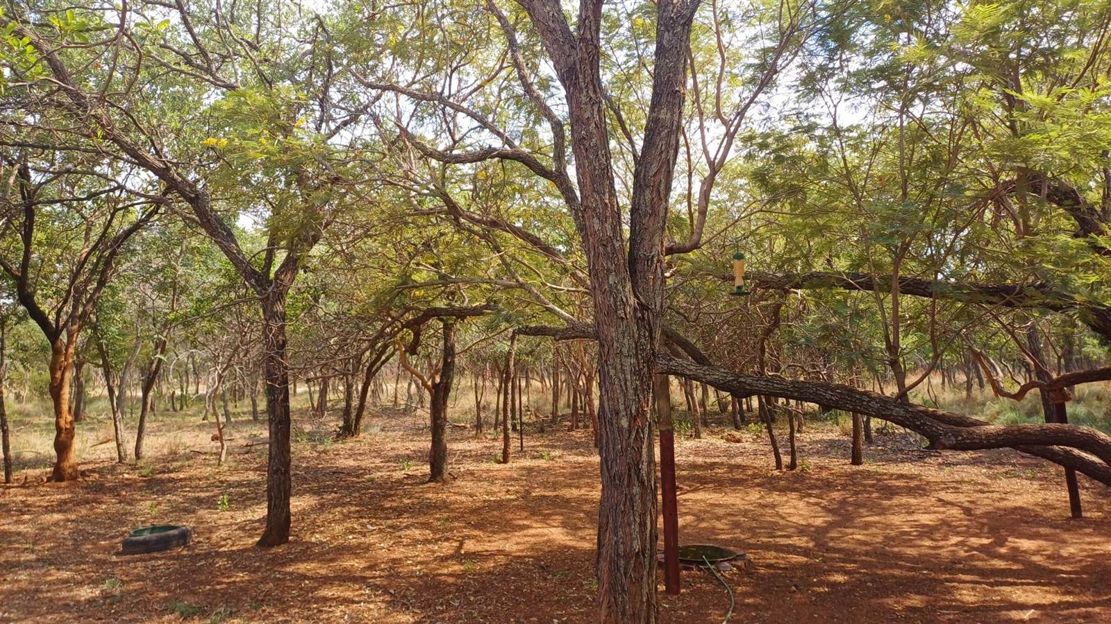 984 m² Land available in Koro Creek Golf Estate photo number 5