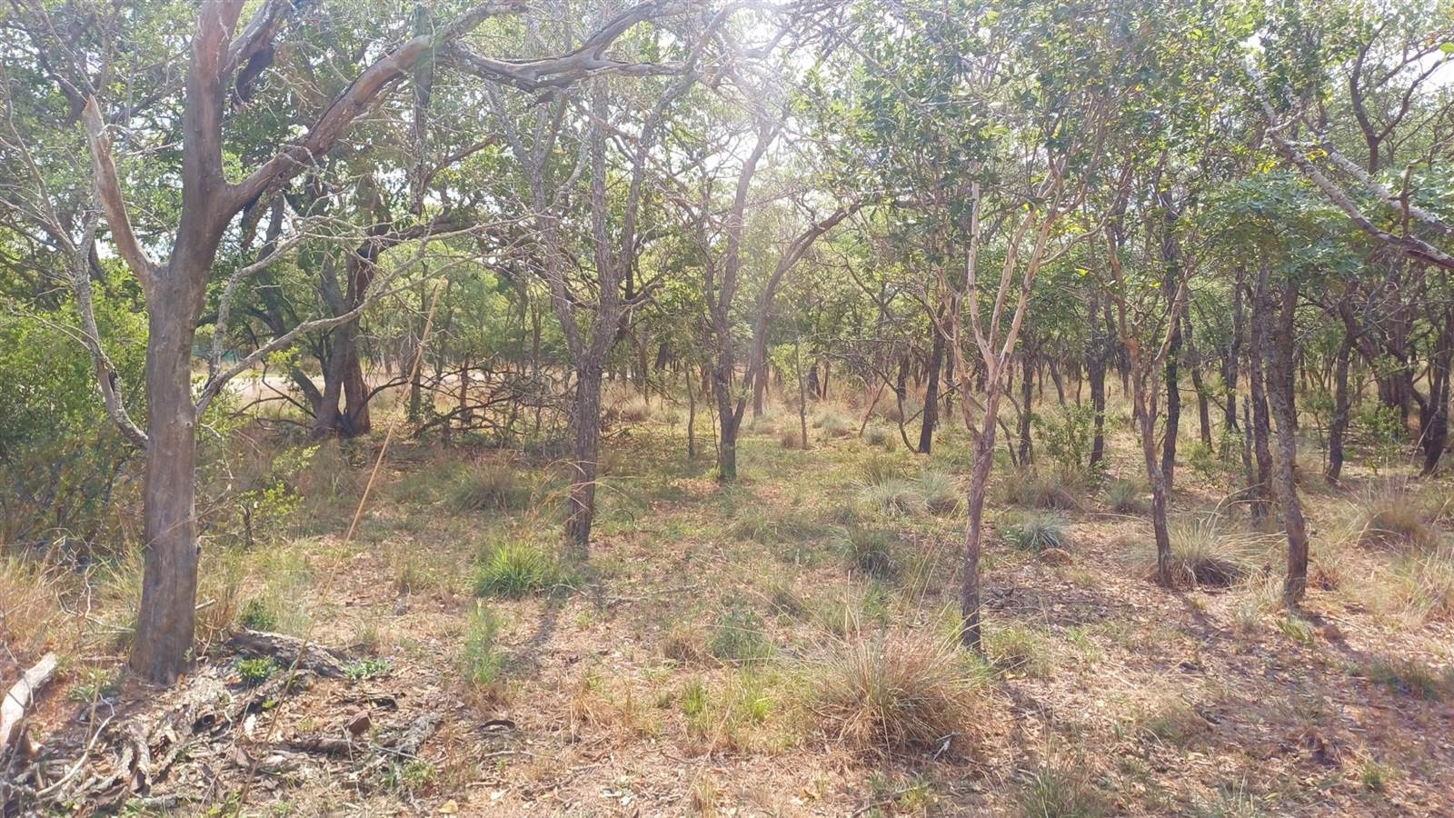 984 m² Land available in Koro Creek Golf Estate photo number 6