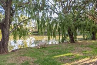 1 ha Land available in Mooikloof Equestrian Estate photo number 15