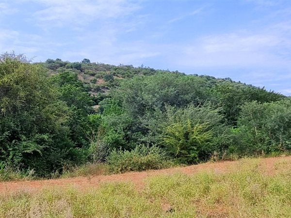 2 400 m² Land 2 400 m² Land