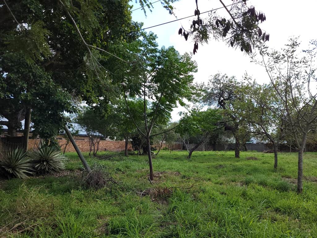 3232 m² Land available in Hoedspruit photo number 4