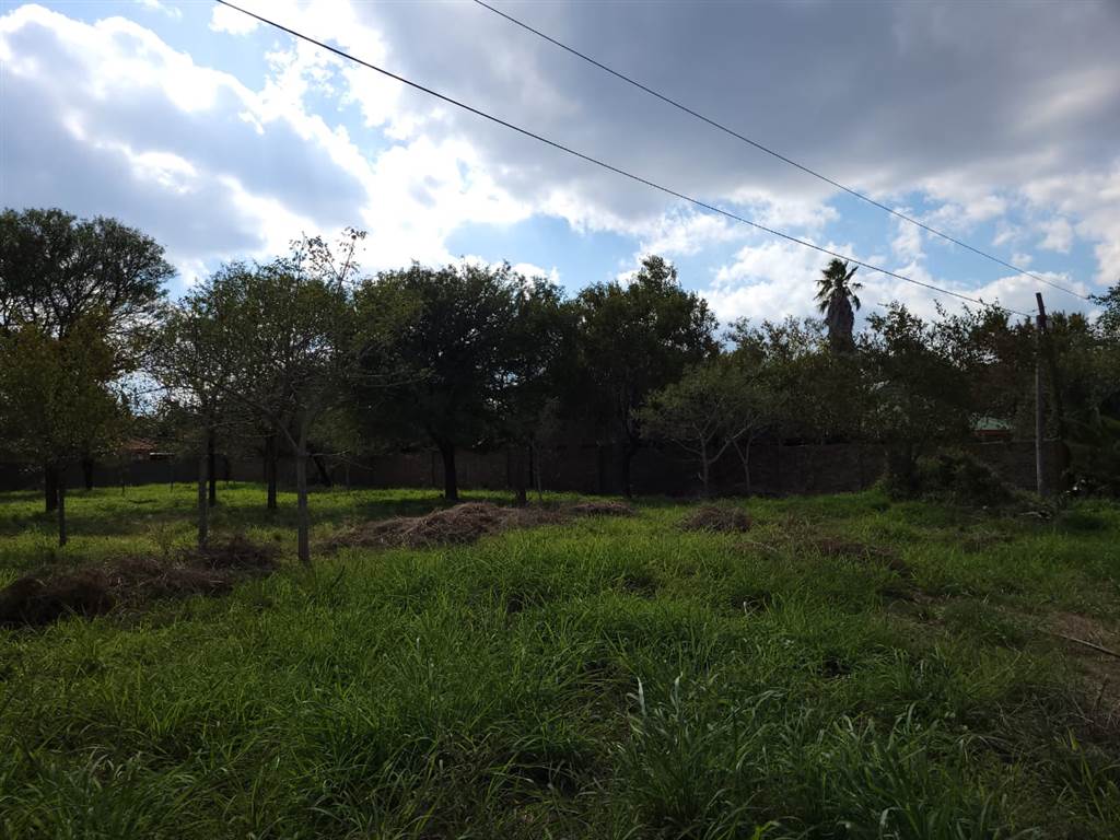 3232 m² Land available in Hoedspruit photo number 2