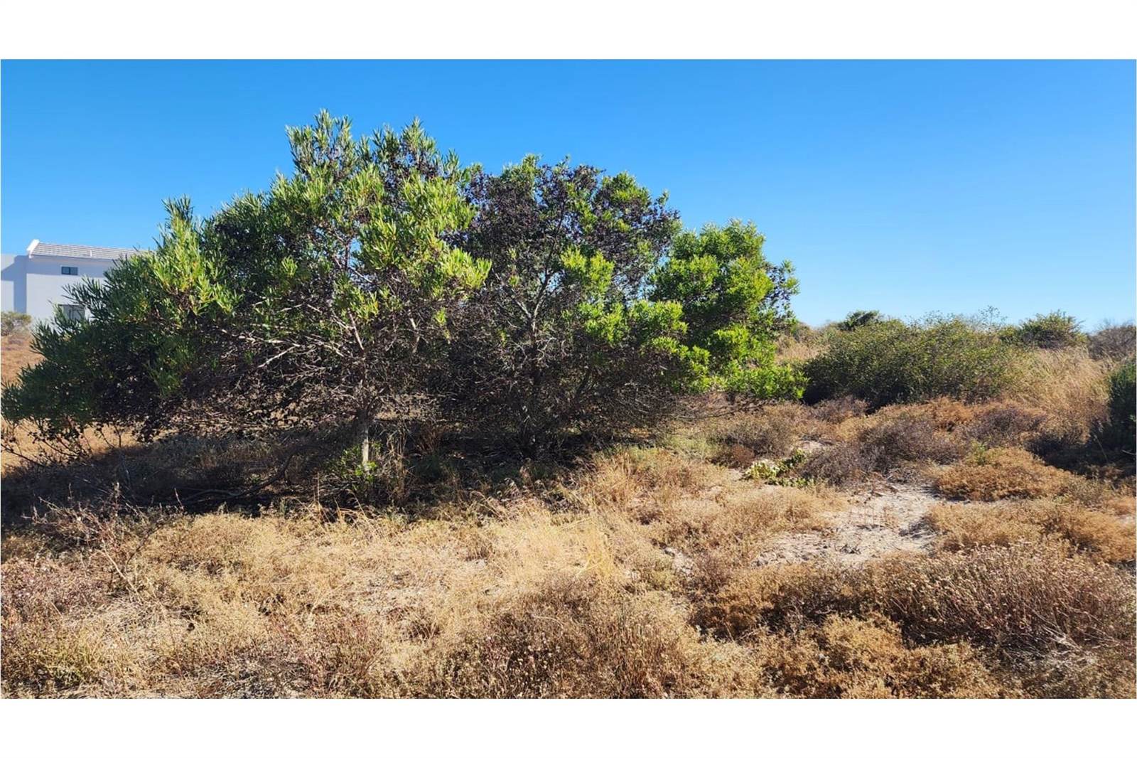345 m² Land available in Shelley Point photo number 2