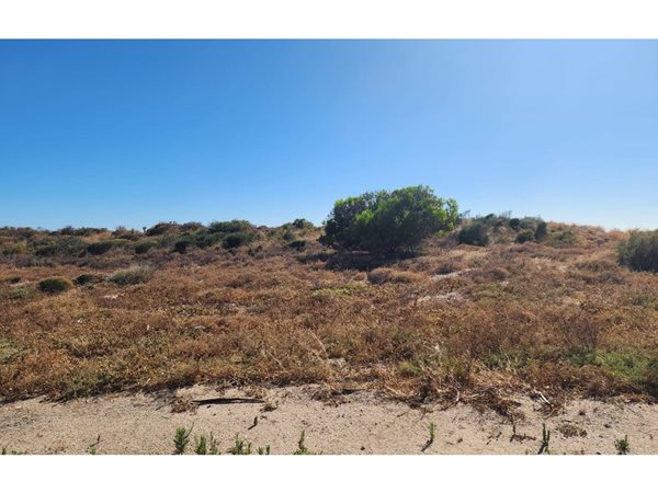345 m² Land available in Shelley Point