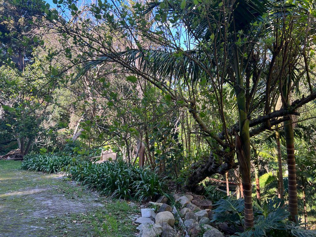 4480 m² Land available in Constantia photo number 10