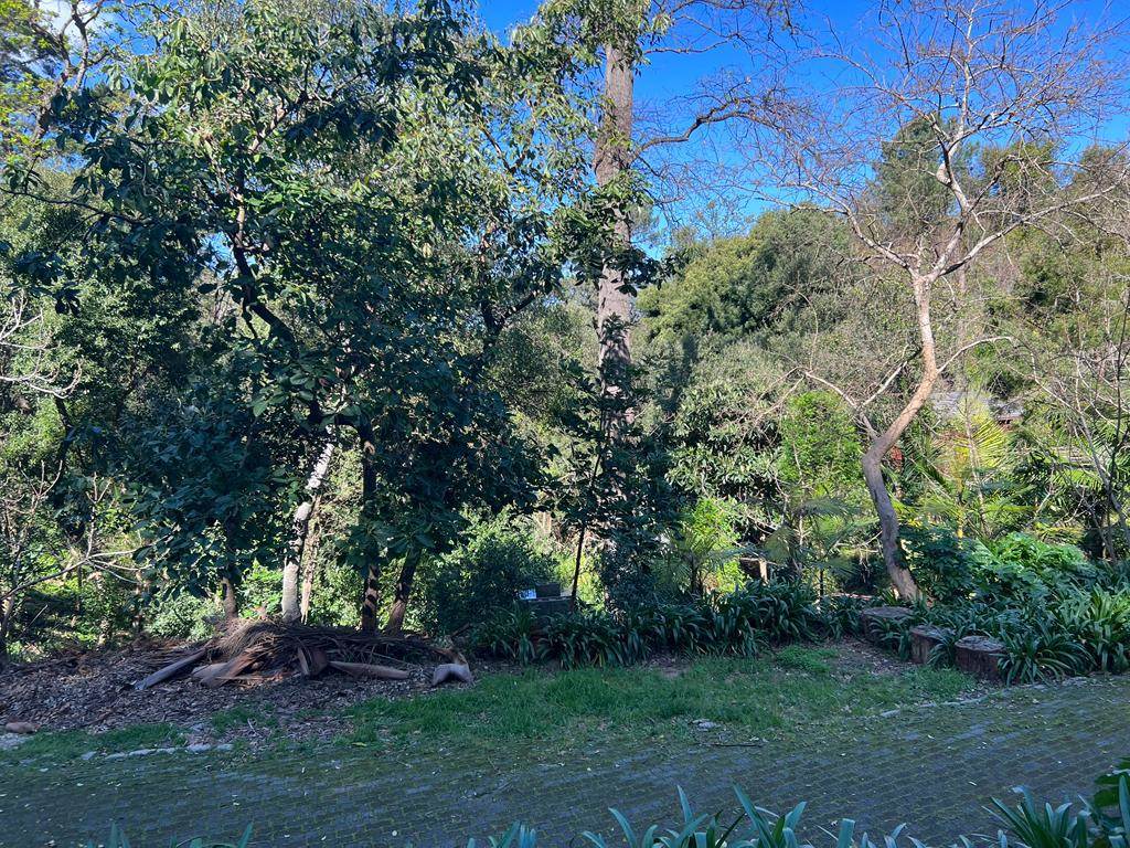 4480 m² Land available in Constantia photo number 9