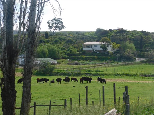 7 ha Farm in Bonnievale