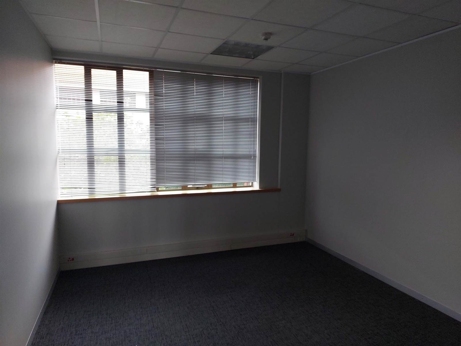 456.36  m² Commercial space in Bryanston photo number 2