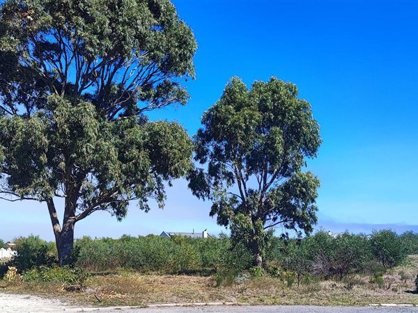 829 m² Land available in Franskraal