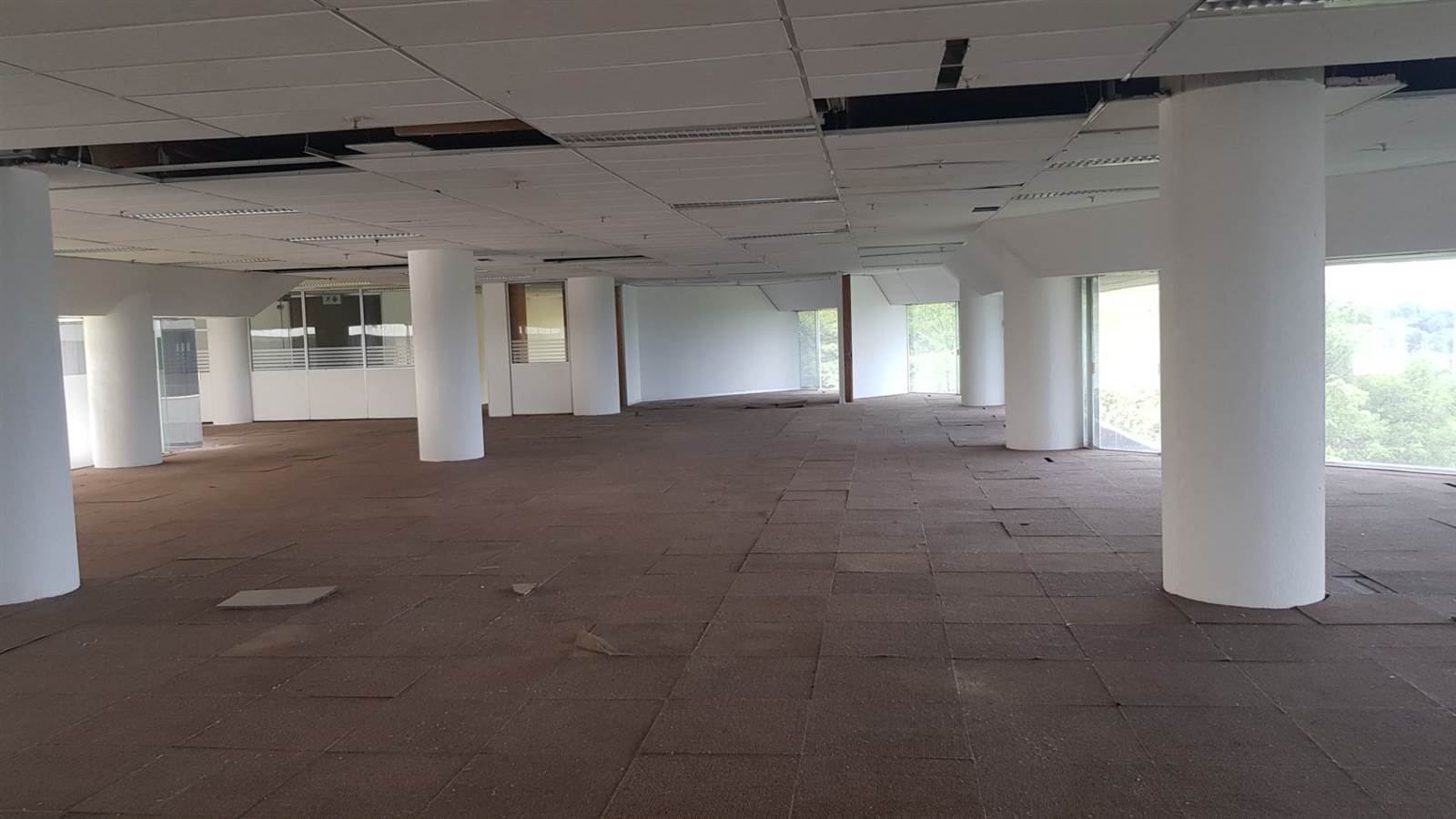 1526  m² Commercial space in Auckland Park photo number 14