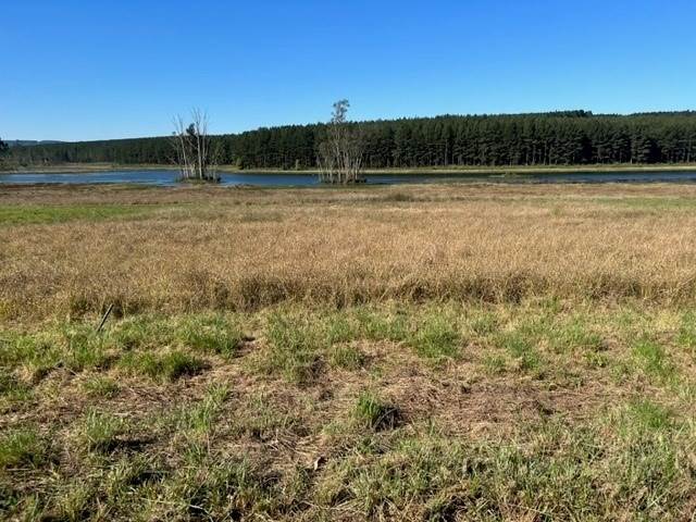 3351 m² Land available in Albert Falls photo number 3