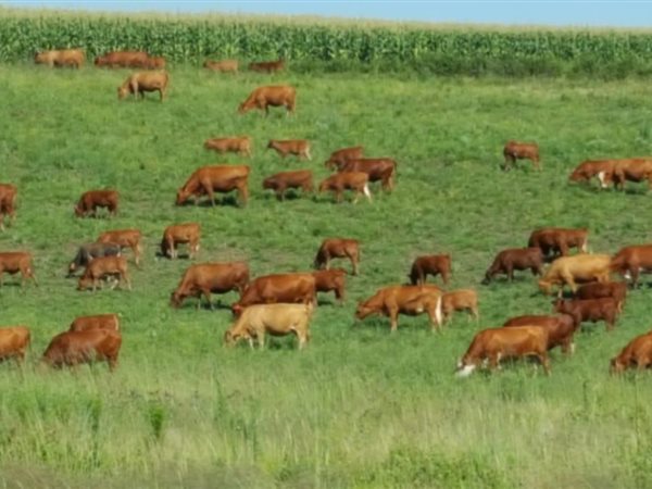 475 ha Farm 475 ha Farm