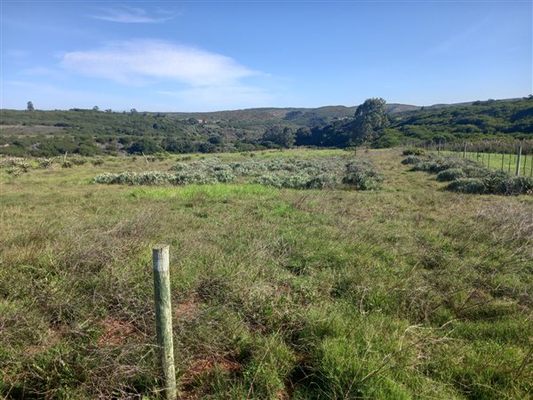 595 m² Land available in Stilbaai