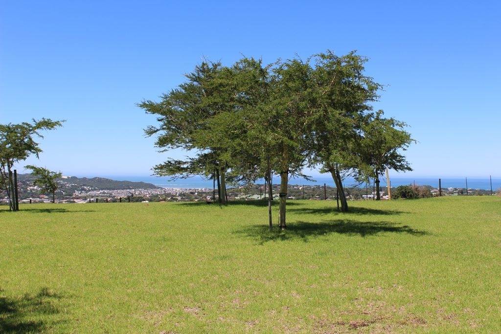 802 m² Land available in Port Alfred photo number 11