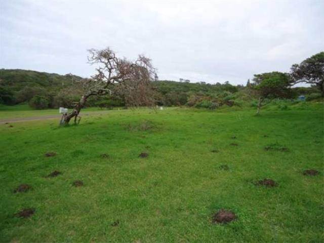631 m² Land available in Cove Rock photo number 2
