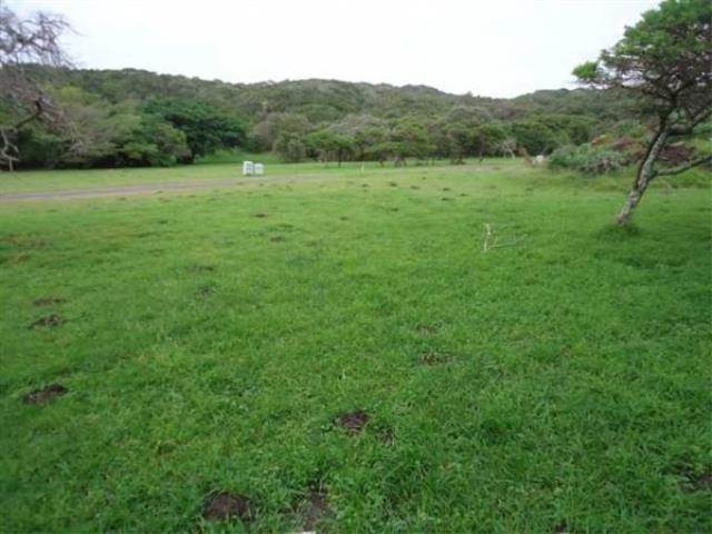 631 m² Land available in Cove Rock photo number 3